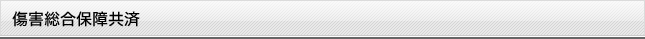 傷害総合保障共済