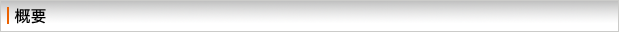概要
